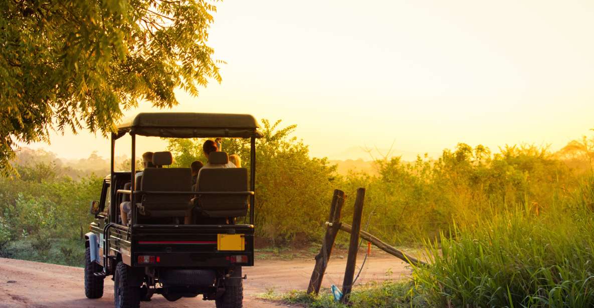 From Negombo: Minneriya National Park Safari Tour - Highlights