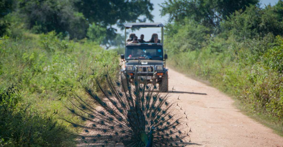 From Negombo: Udawalawa National Park Wildlife Safari - Included Services