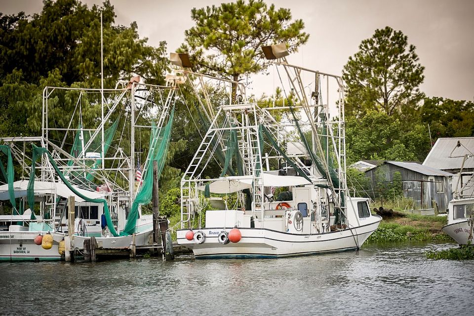 From New Orleans: Airboat Adventure Tour - Experience Highlights