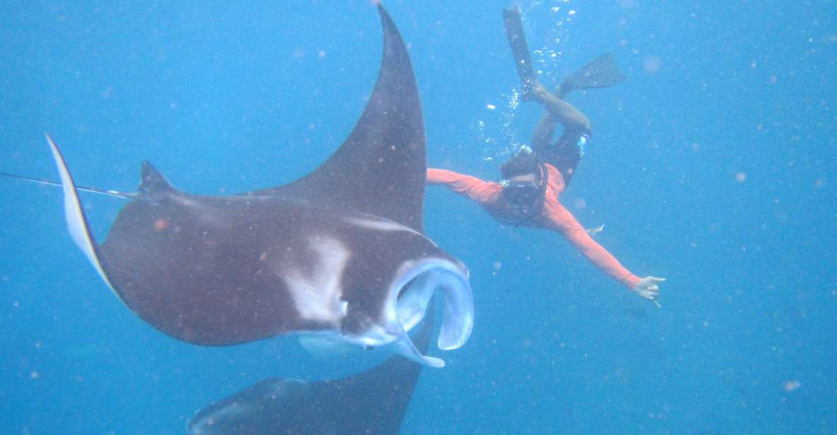 From Nusa Penida: 3 Spots Snorkeling Tour With Manta Rays - Snorkeling Experience Details