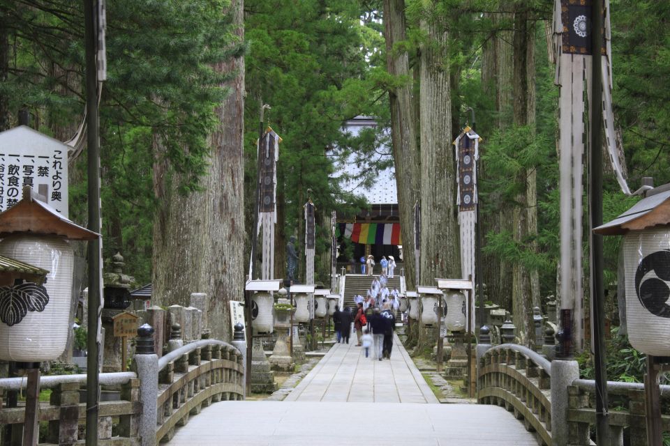 From Osaka: Mt. Koya Private Walking and Train Tour - Cancellation Policy and Payment