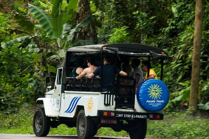 From Paraty: 4x4 Jeep Adventure Visiting Waterfalls & Distilleries - Waterfall Exploration