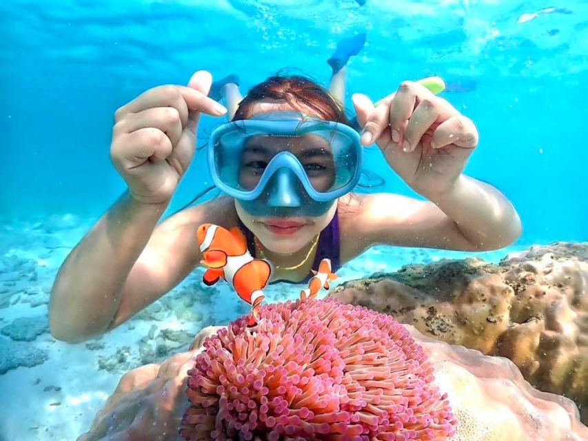 From Pattaya: Private Speedboat to Nemo Island With Snorkel - Tour Highlights