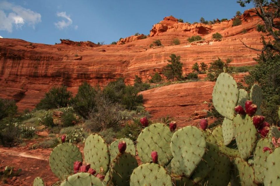 From Phoenix: Full-Day Sedona Small-Group Tour - Tour Experience