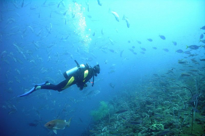 From Phuket: Advanced Open Water Diving Course - Course Information