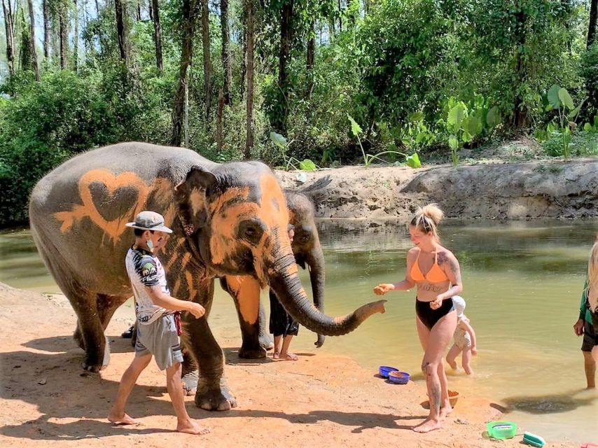 From Phuket: Elephant & Sea Turtle Conservation Private Tour - Activity Highlights and Itinerary