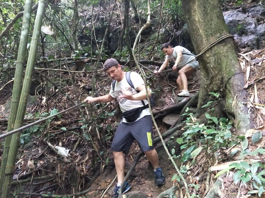 From Phuket: Guided Rainforest Hike With Lunch - Highlights of the Hike