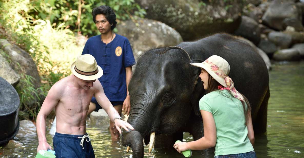 From Phuket/Khao Lak: Elephant Care Experience With Rafting - Experience Highlights
