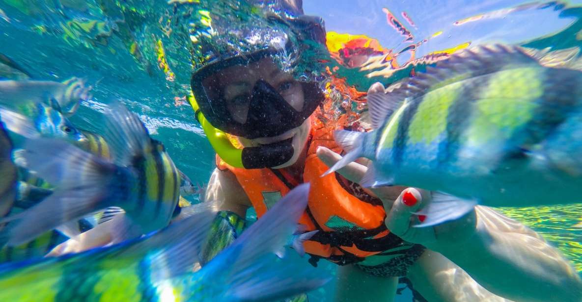 From Phuket: Phi Phi and Maya Bay Snorkeling by Speedboat - Experience Highlights