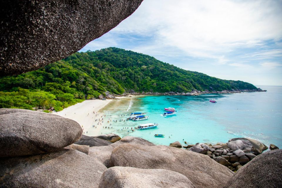 From Phuket: Similan Islands Luxury Trip by Speed Catamaran - Experience Highlights