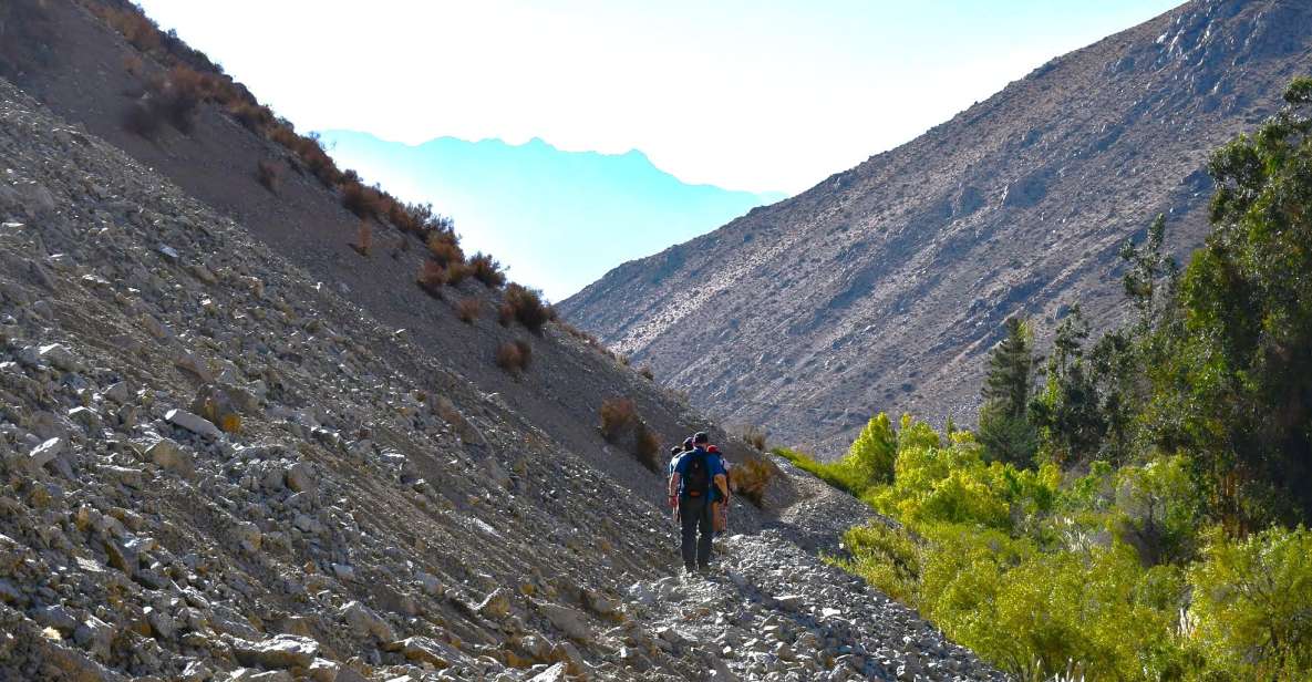 From Pisco Elqui: Cochiguaz River Valley Nature Hike - Experience Highlights