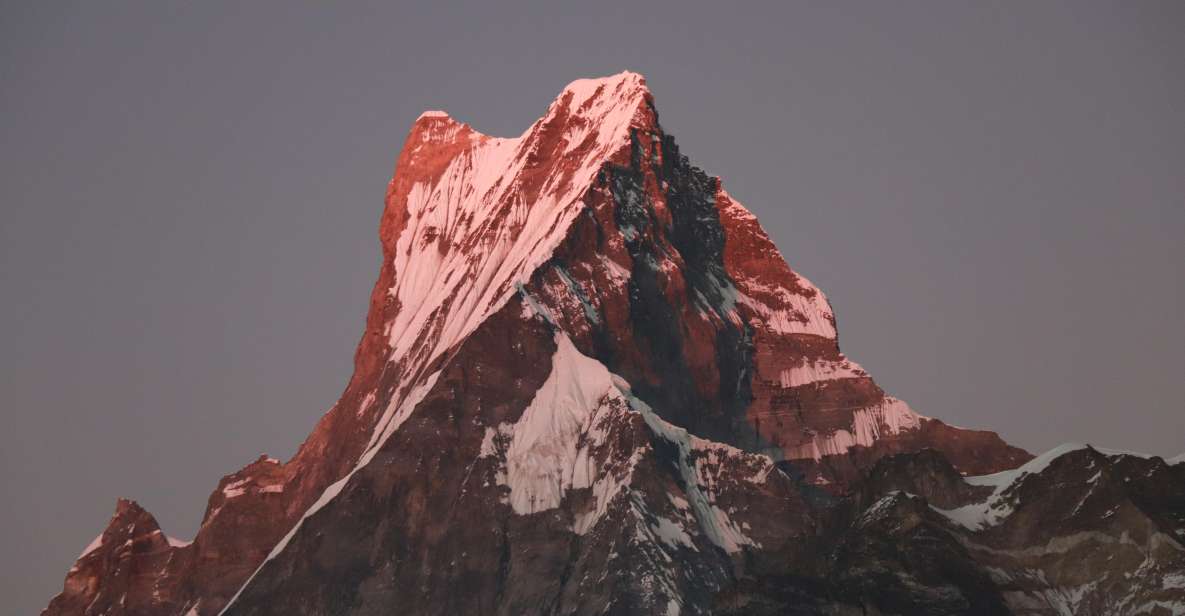 From Pokhara: 4 Day Amazing Mardi Himal Base Camp Peak Trek - Trekking Through Diverse Forests