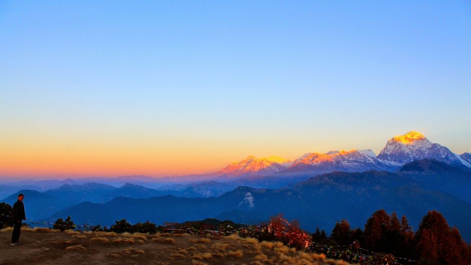 From Pokhara: Best Ghorepani Poonhill Trek - 5 Days - Experience Highlights