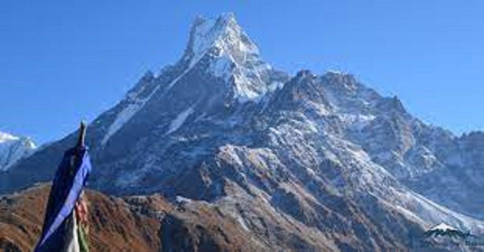 From Pokhara Budget: 5 Day Mardi Himal Base Camp Trek - Experience Highlights of the Trek