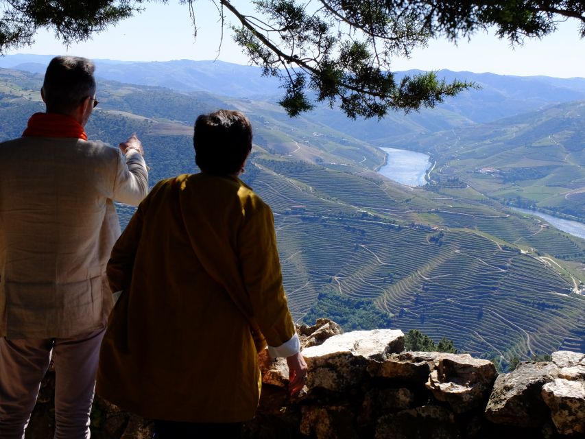 From Porto: Douro Region Private Food and Wine Day Tour - Wine Tasting Experiences