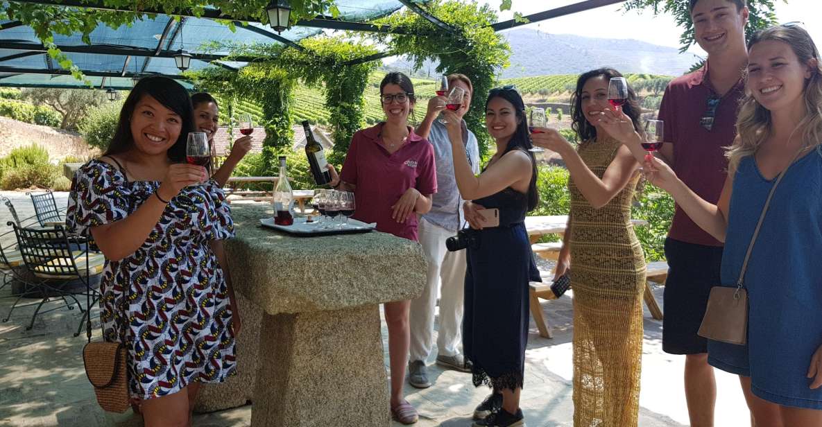 From Porto: Douro Valley 3 Vineyards Tour With Lunch - Customer Reviews and Ratings