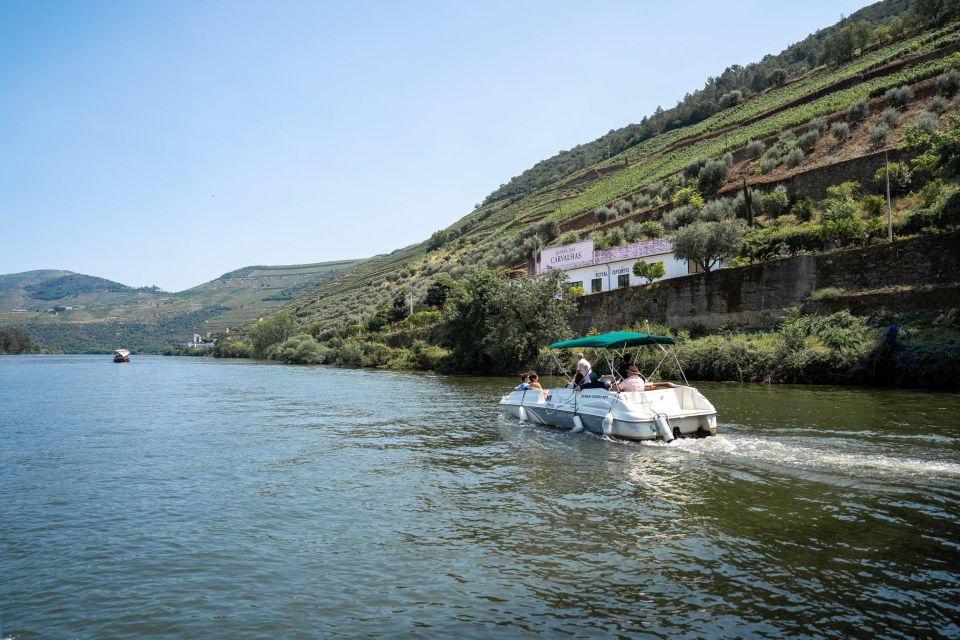 From Porto: Douro Valley Premium Small-Group Wine Tour - Tour Highlights