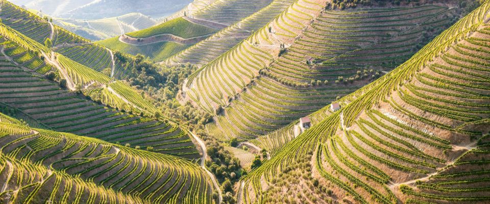 From Porto: Douro Valley W/ Boat Tour, Wine Tasting & Lunch - Booking Information and Tour Details