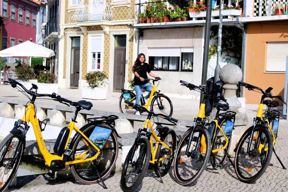 From Porto: E-Bike Tour in Aveiro, Boat Trip and Costa Nova! - Tour Highlights & Itinerary Overview