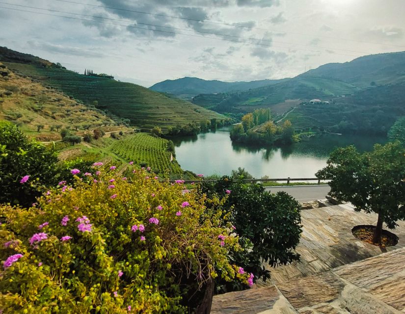 From Porto: Full-Day Douro Valley Wine Tour - Experience Highlights and Itinerary