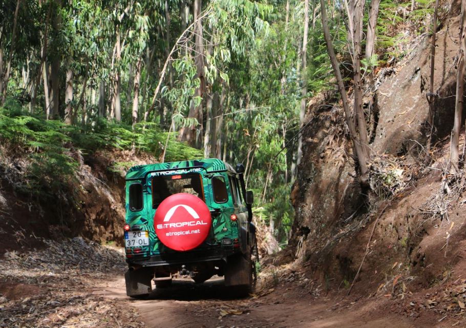 From Porto Moniz: Fanal 4x4 Tour - Full Description