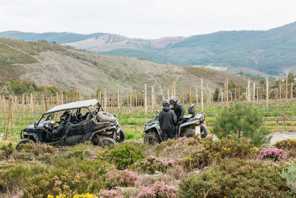 From Porto: Off-Road Buggy Adventure - Experience Highlights