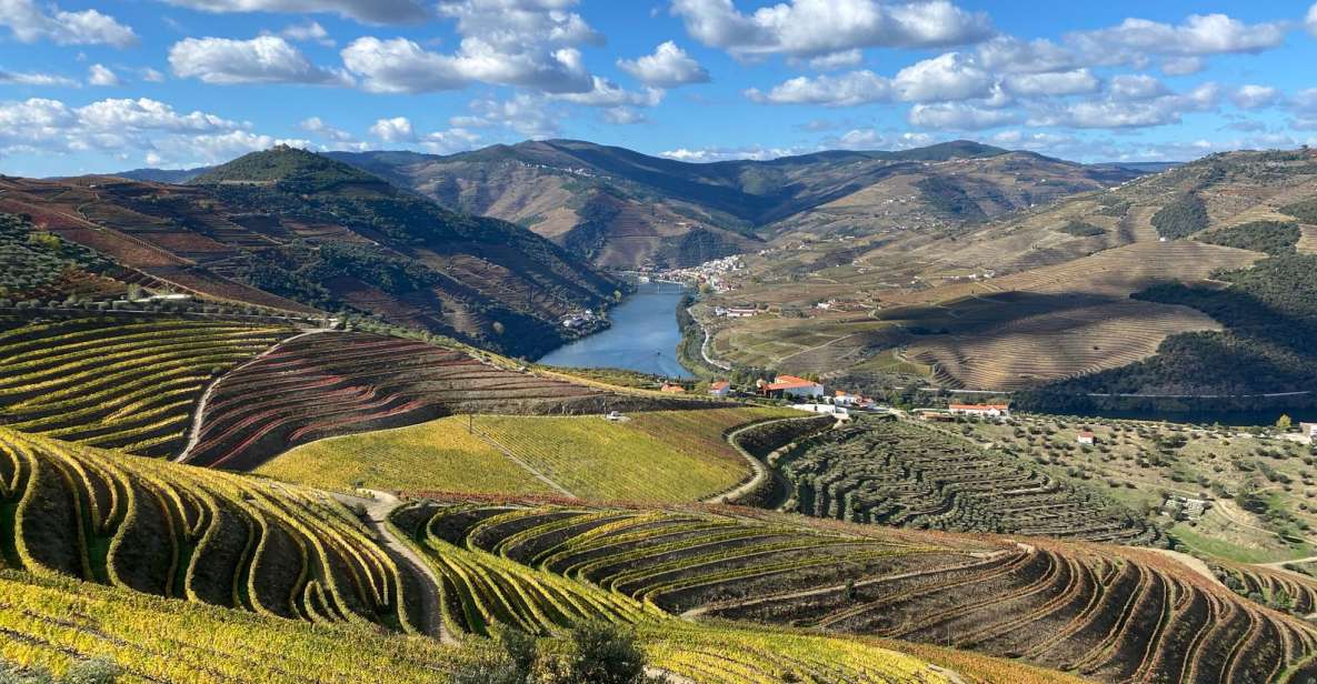 From Porto: Private Douro Valley Tour and Boat Cruise - Booking Details