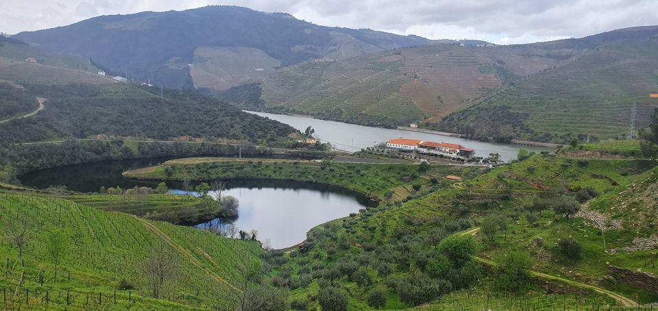 From Porto Private Wine Tour Tasting, Train and Vinho Verde - Booking Details