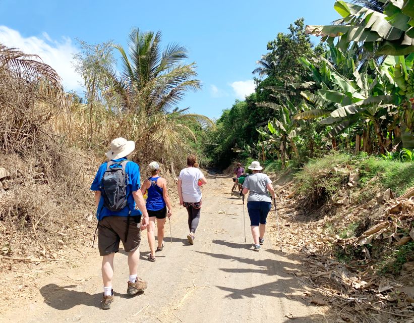 From Praia: Banana Plantation Tour and Cuscuz Workshop - Activity Highlights