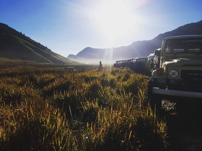 From Probolinggo: Bromo Sunrise & Crater Tour - Activity Highlights