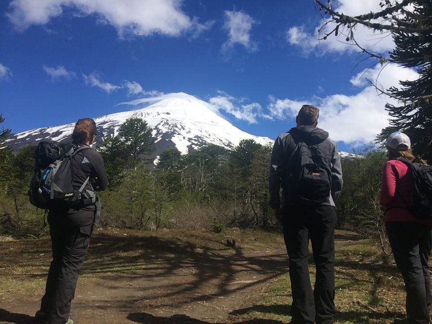 From Pucón: Lanín Volcano Guided Ascent - Booking Information