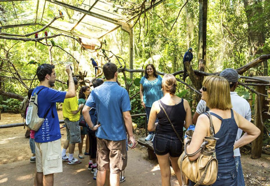 From Puerto Iguazú: Brazilian Bird Park Tour With Tickets - Booking Information and Tips