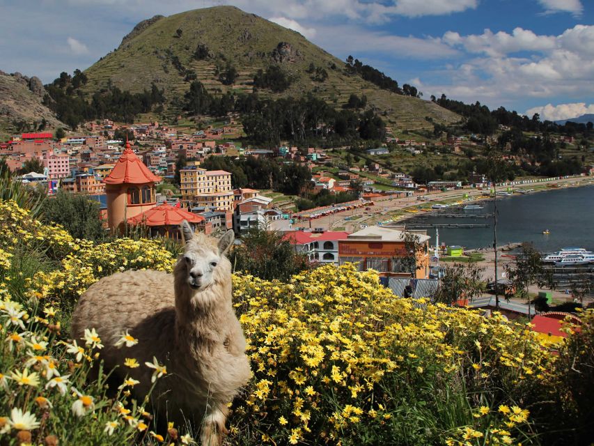 From Puno: 3day Excursion to La Paz and the Uyuni Salt Flats - Exciting Tour Highlights