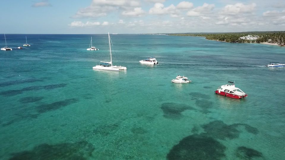 From Punta Cana: Day Tour to Saona Island With Buffet Lunch - Experience Highlights