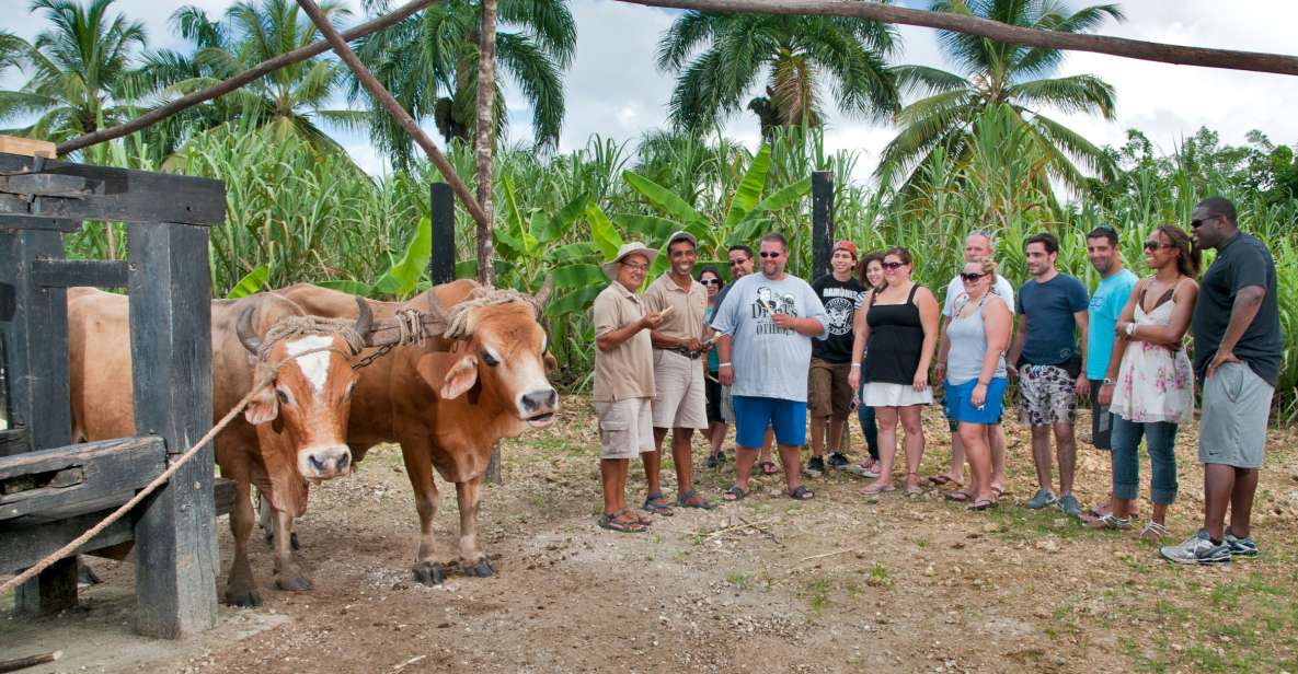 From Punta Cana: Safari Traditional Tour With Lunch - Experience Highlights