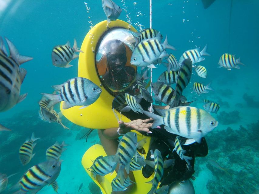 From Punta Cana: ScubaDoo, Snorkel & Glass Bottom Boat Tour - Experience Details