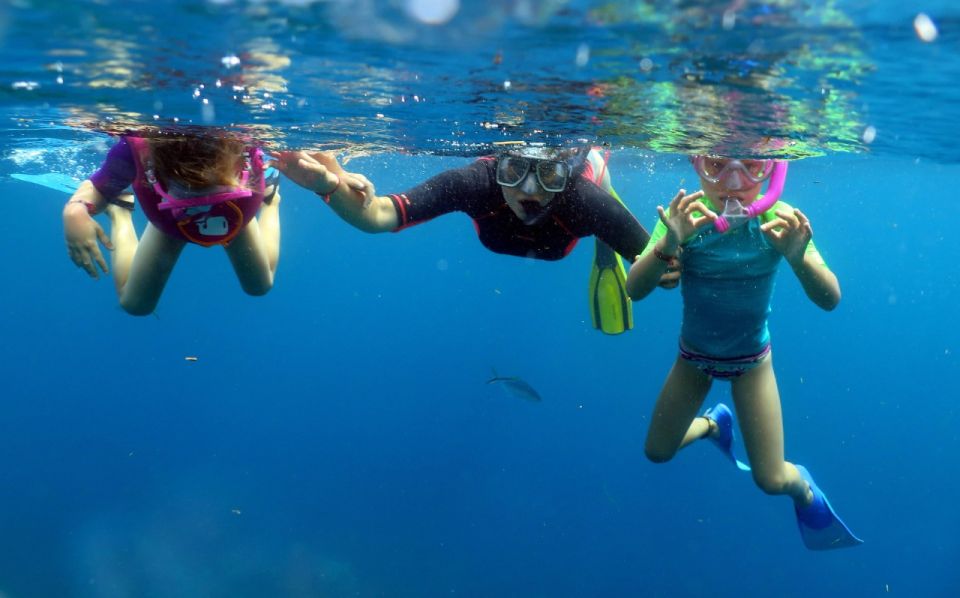 From Punta Cana: Small Group Catalina Island Snorkeling Tour - Experience Highlights