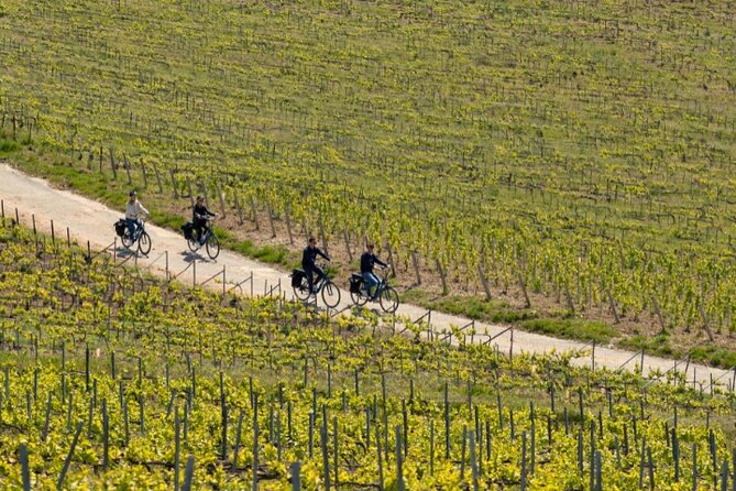 From Reims Afternoon E-Bike Tour, Visit and Champagne Tastings - Tour Details
