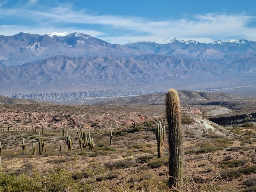 From Salta: 2-Day Guided Trip to Cafayate and Cachi - Booking Details