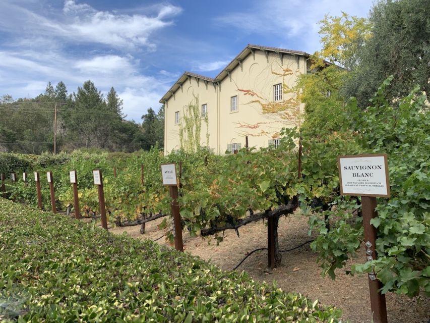 From San Francisco: Private Muir Woods and Napa Wine Tour - Tour Experience