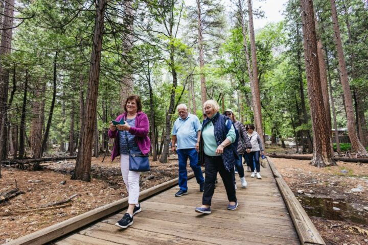 From San Francisco: Yosemite National Park Guided Day Trip - Booking Information