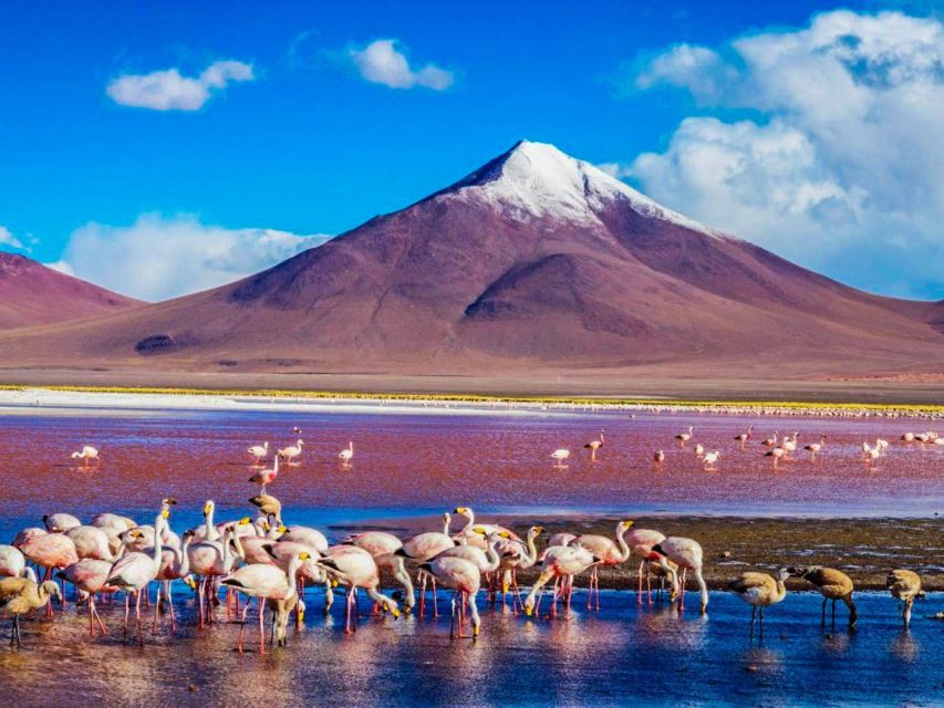 From San Pedro De Atacama: Uyuni Salt Flat 3-Days - Day 1 Itinerary