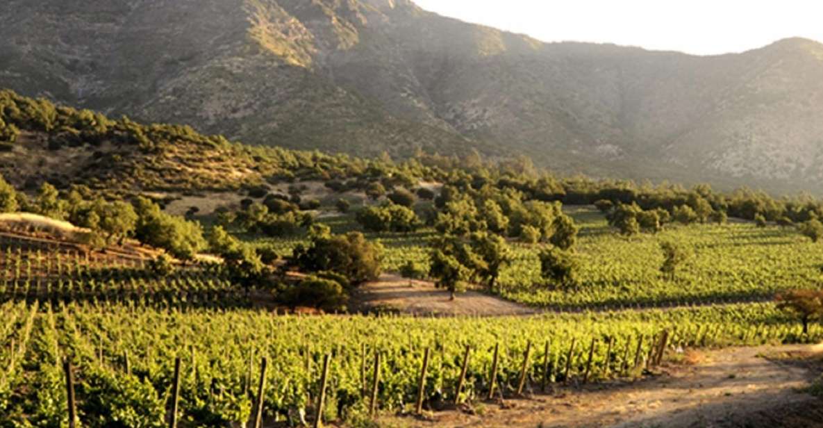 From Santiago: Maipo Valley Wine Tour - Wine Tour Experience