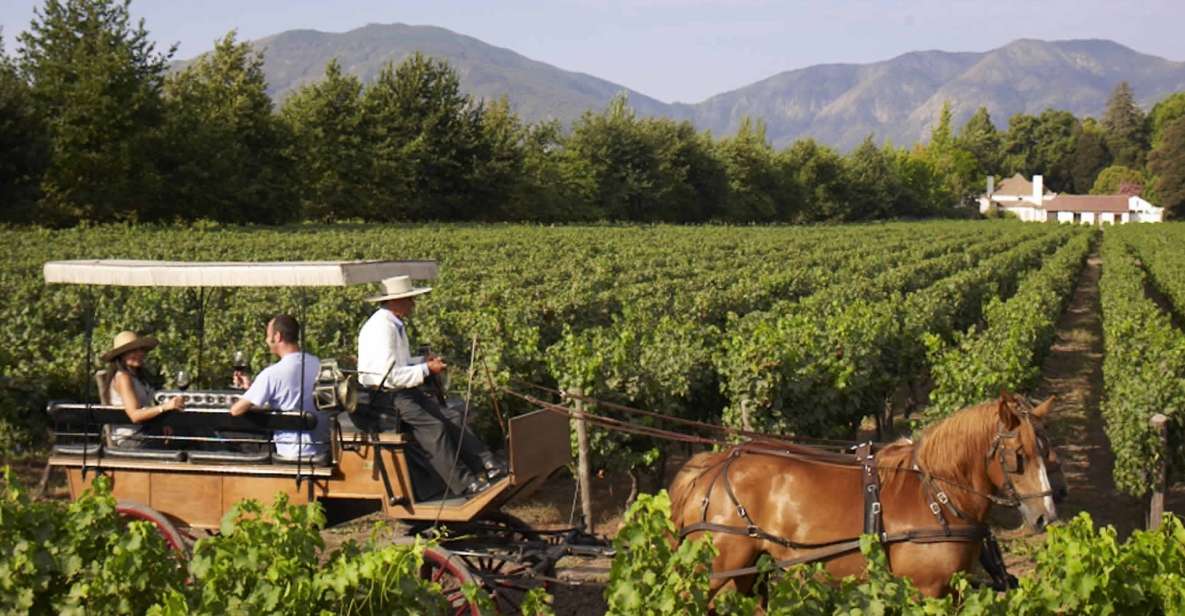 From Santiago: Private Colchagua Valley Wine Tour W/ Tasting - Tour Duration and Guide Information