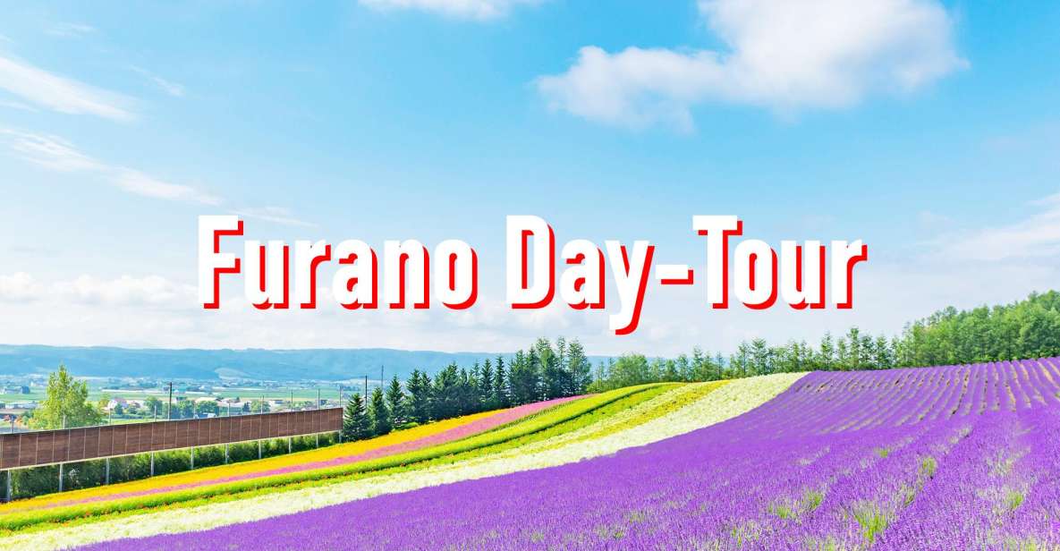 From Sapporo: 10-hour Customized Private Tour to Furano - Experience Highlights