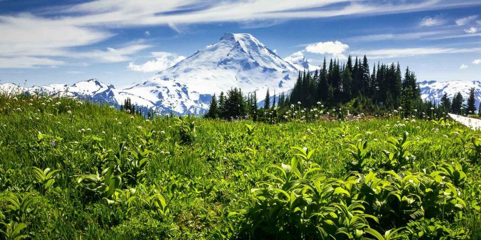 From Seattle - Enchanting Mt Baker & Cascade Mountains Tours - Experience Highlights