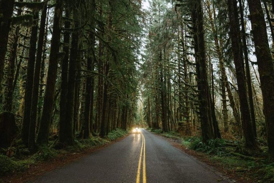 From Seattle: Twilight Forks Washington Tour - Experience Highlights