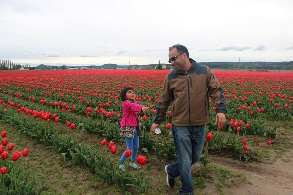 From Seattle:Tulip Festival at Skagit Valley and La Conner - Experience