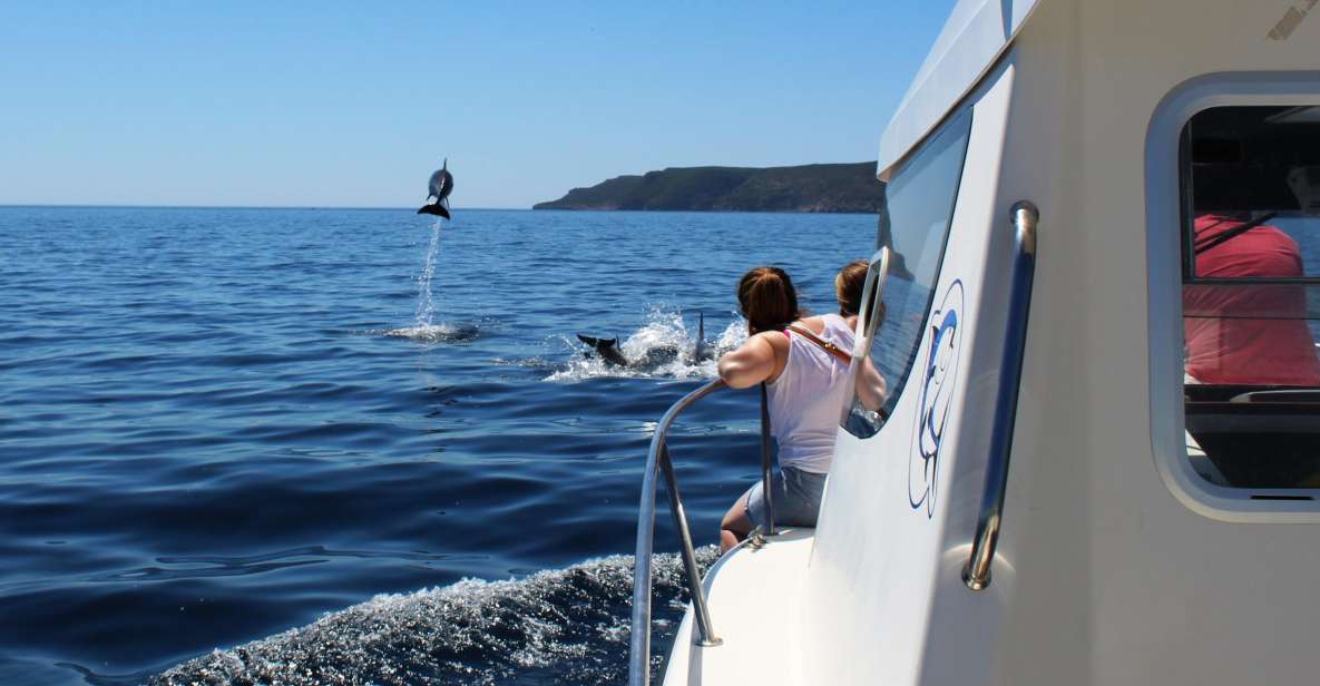 From Sesimbra: Arrábida Dolphin Watching Boat Tour - Experience Details