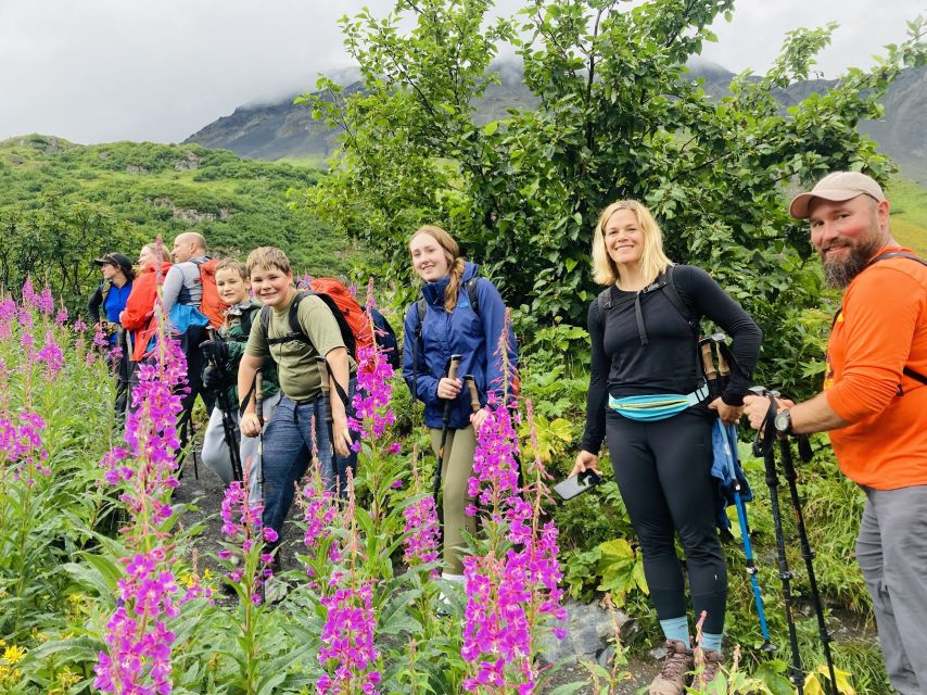 From Seward: 4-hour Wilderness Hiking Tour - Activity Details